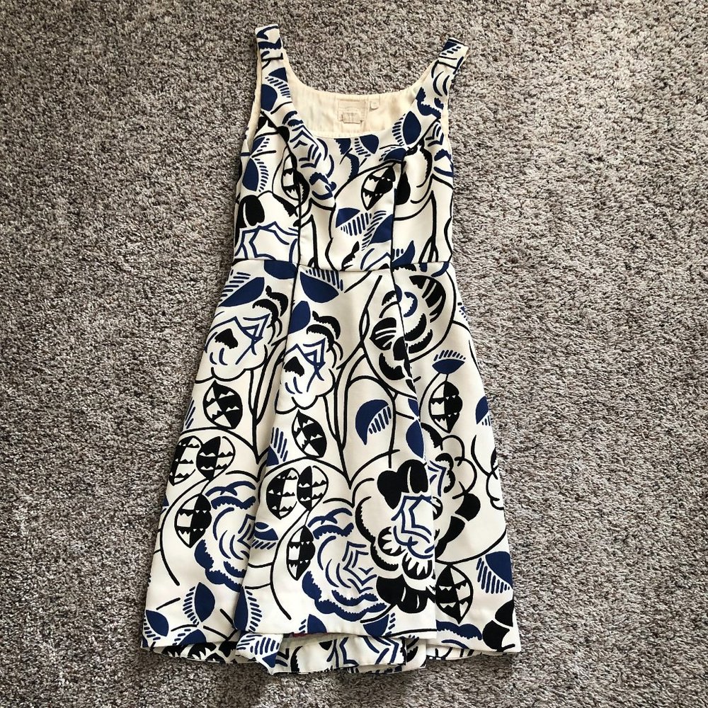 Anthropologie Fit & Flare Floral Bloom Dress